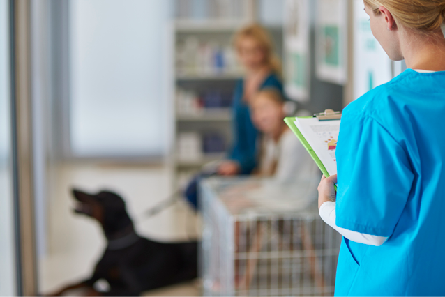 Doctor asking next client from the queue 