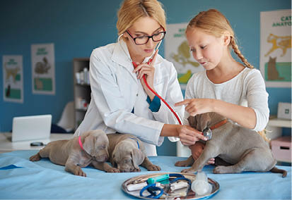 Medical test with red stethoscope