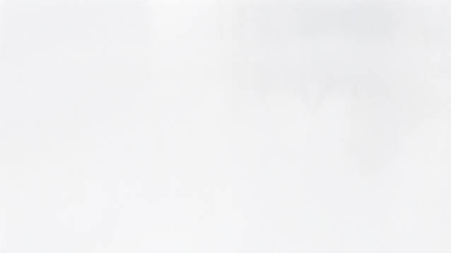 gray fluffy rabbit looking at the signboard  Isolated on white background  Easter bunny