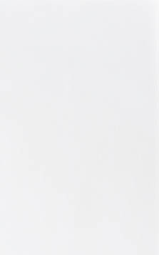 gray fluffy rabbit looking at the signboard  Isolated on white background  Easter bunny