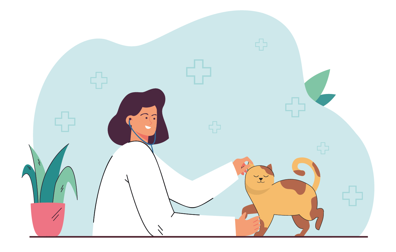 Cat health checkup by vet at veterinary clinic  Woman stroking happy kitten flat vector illustration  Pet care, medicine for domestic animals concept for banner, website design or landing web page