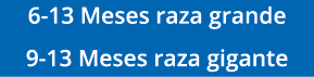 6-13 Meses raza grande 9-13 Meses raza gigante
