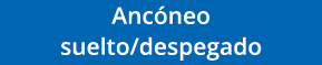 Ancóneo suelto despegado 
