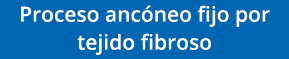 Proceso ancóneo fijo por tejido fibroso