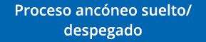 Proceso ancóneo suelto despegado