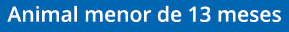 Animal menor de 13 meses