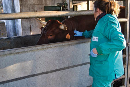 17/07/2024 Veterinaria ECONOMIA ESPA√ A EUROPA EXTREMADURA  JUNTA DE EXTREMADURA  