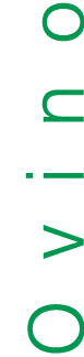 Ovino
