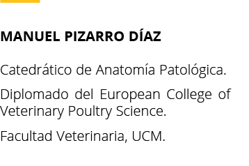 Manuel Pizarro D az Catedr tico de Anatom a Patol gica  Diplomado del European College of Veterinary Poultry Science    