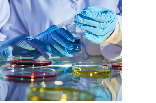 Close-up shot of unrecognizable researchers pouring blue liquid into Petri dish with other substance while working together on new project