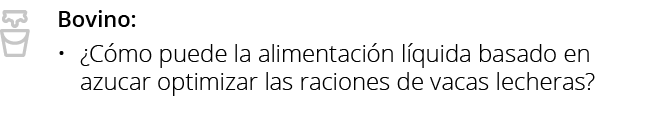 Bovino:  Cómo puede la alimentación líquida basado en azucar optimizar las raciones de vacas lecheras