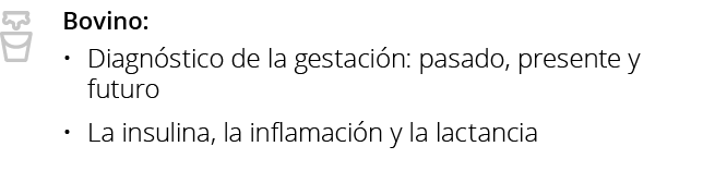 Bovino: Diagnóstico de la gestación: pasado, presente y futuro La insulina, la inflamación y la lactanci