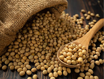 Soy bean on white table background 