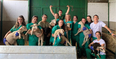 20/11/2023 Participantes del Programa Cultiva 2023.   La comunidad de Extremadura oferta estancias formativas a j√≥venes profesionales del campo de otras regiones en explotaciones agroganaderas modelo de las provincias de Badajoz y C√°ceres, en el marco del Programa Cultiva 2023.    ECONOMIA EXTREMADURA ESPA√ A EUROPA BADAJOZ  JUNTA DE EXTREMADURA  