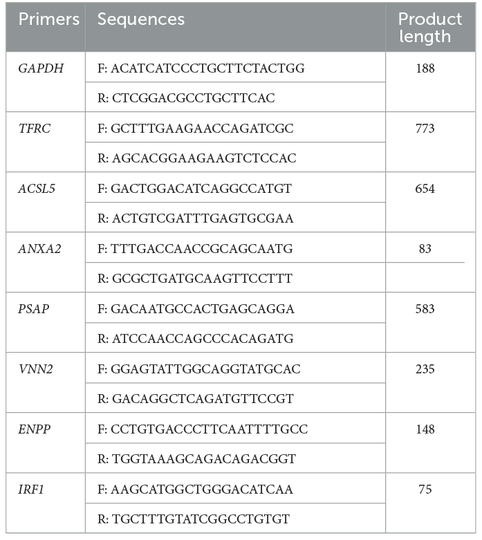 Wang G, Cao Y, Xu C, Zhang S, Huang Y, Zhang S and Bao W (2024) Comprehensive transcriptomic and metabolomic analysis of porcine intestinal epithelial cells after PDCoV infection. Front. Vet. Sci. 11:1359547. doi: 10.3389/fvets.2024.1359547