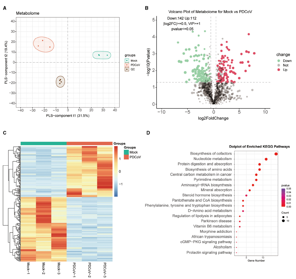 Wang G, Cao Y, Xu C, Zhang S, Huang Y, Zhang S and Bao W (2024) Comprehensive transcriptomic and metabolomic analysis of porcine intestinal epithelial cells after PDCoV infection. Front. Vet. Sci. 11:1359547. doi: 10.3389/fvets.2024.1359547