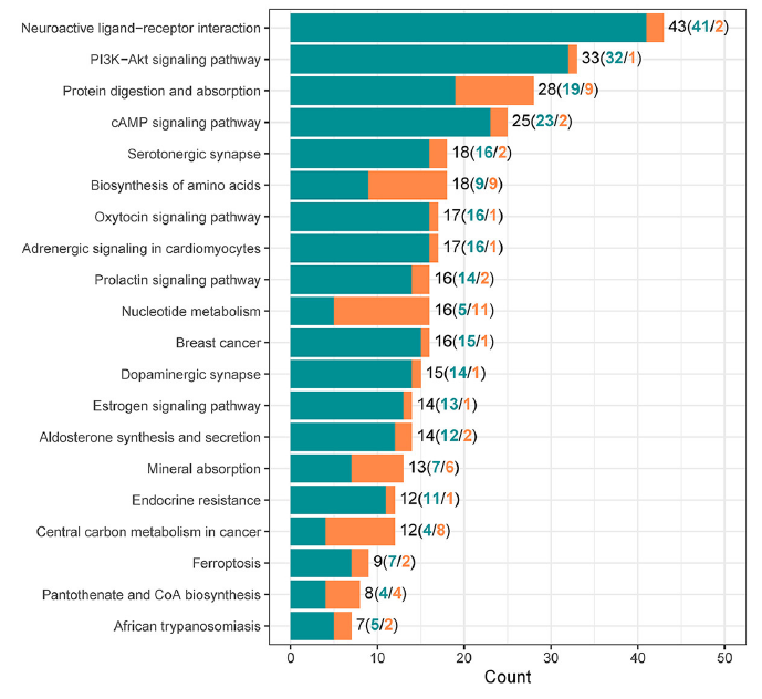 Wang G, Cao Y, Xu C, Zhang S, Huang Y, Zhang S and Bao W (2024) Comprehensive transcriptomic and metabolomic analysis of porcine intestinal epithelial cells after PDCoV infection. Front. Vet. Sci. 11:1359547. doi: 10.3389/fvets.2024.1359547