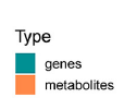 Wang G, Cao Y, Xu C, Zhang S, Huang Y, Zhang S and Bao W (2024) Comprehensive transcriptomic and metabolomic analysis of porcine intestinal epithelial cells after PDCoV infection. Front. Vet. Sci. 11:1359547. doi: 10.3389/fvets.2024.1359547