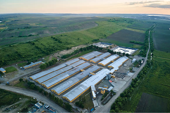 Aerial view of cattle farm buildings between green farmlands.