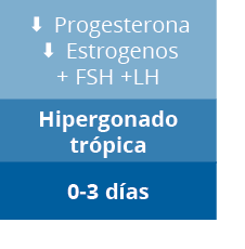 0-3 d as,Hipergonado tr pica,S Progesterona S Estrogenos + FSH +L