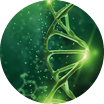 Creative  biological background  DNA structure  DNA molecule on a green background