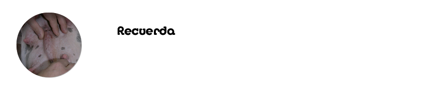 Recuerda  Qu  es un absceso