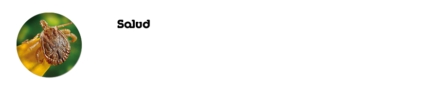 Salud Par sitos externos Ehrlichiosis canin