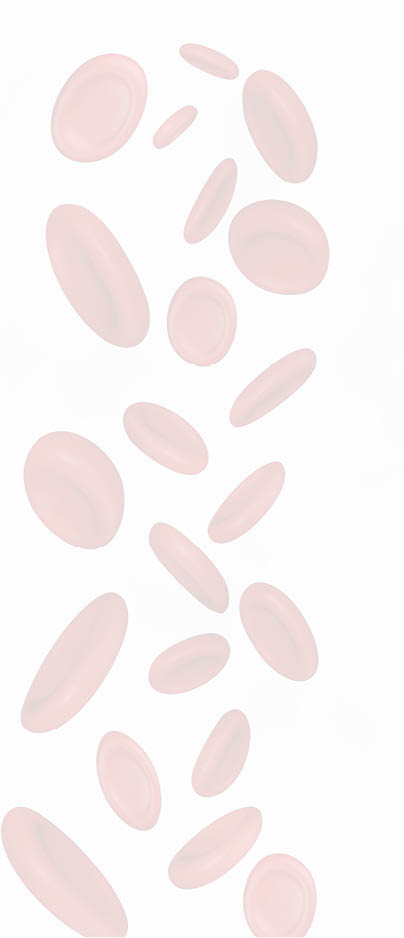 Vector Streaming Blood Cells  Abstract medical background