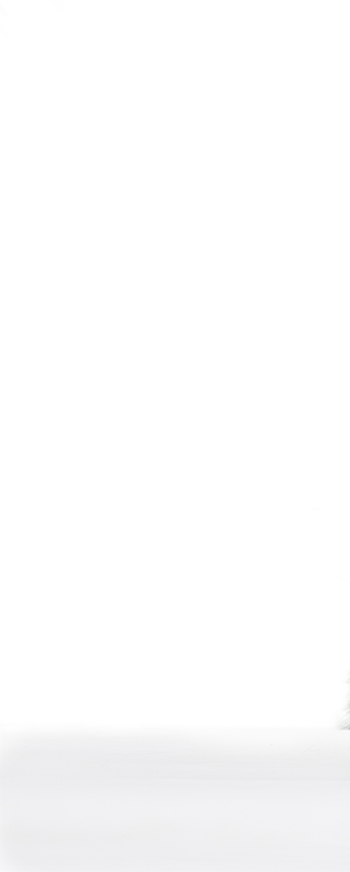 gray fluffy rabbit looking at the signboard  Isolated on white background  Easter bunny