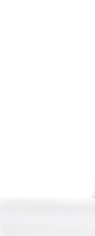 gray fluffy rabbit looking at the signboard  Isolated on white background  Easter bunny