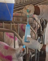 meszcla incorreta  2  JPG