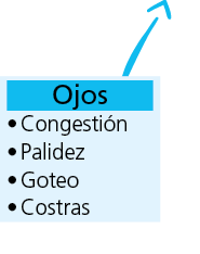 Ojos Congesti n Palidez Goteo Costra