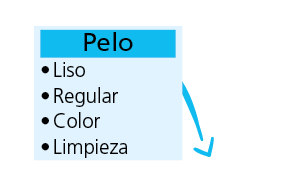 pelo Liso Regular Color Limpiez