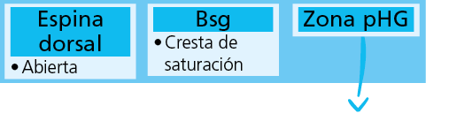 Espina dorsal Abierta Bsg Cresta de saturaci 