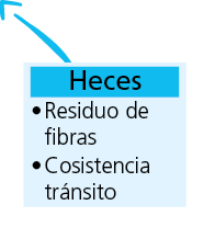 heces Residuo de fibras Cosistencia tr nsit