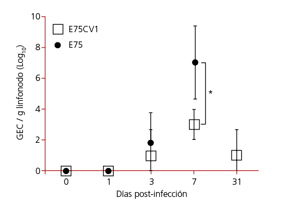 E75 E75CV1 0 1 3 7 31 10 8 6 4 2 0 GEC   g linfonodo  Log10  D as post-infecci 