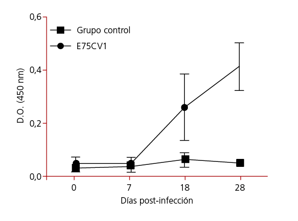 E75CV1 Grupo control 0 7 18 28 0 6 0 4 0 2 0 0 D O   450 nm  D as post-infecci 
