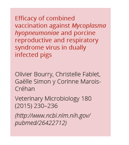 Efficacy of combined vaccination against Mycoplasma hyopneumoniae and porcine reproductive and respiratory syndrome v   