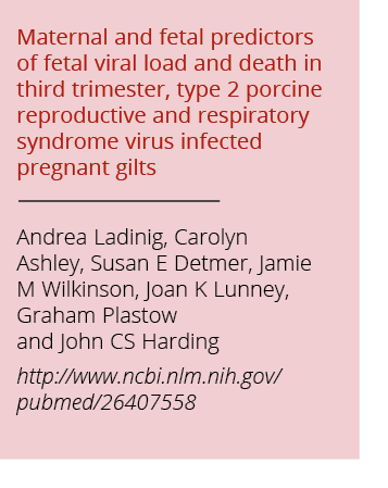 Maternal and fetal predictors of fetal viral load and death in third trimester  type 2 porcine reproductive and respi   