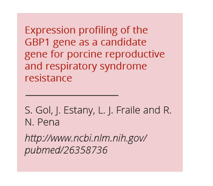 Expression profiling of the GBP1 gene as a candidate gene for porcine reproductive and respiratory syndrome resistanc   