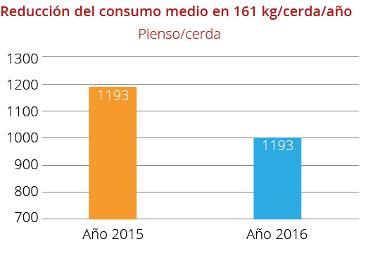 Reducci n del consumo medio en 161 kg cerda a o Pienso cerda A o 2015 A o 2016 1300 1200 1100 1000 900 800 70
