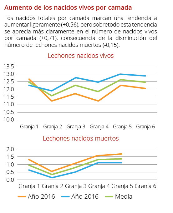 Lechones nacidos muertos Lechones nacidos vivos  A o 2016  A o 2016  Media  Aumento de los nacidos vivos por camada L   