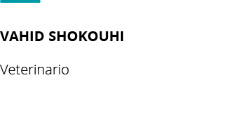 Vahid Shokouhi  Veterinari