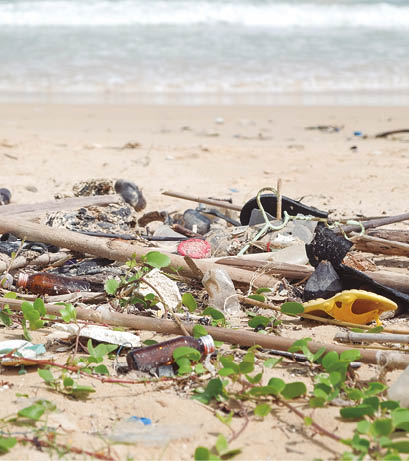 Dirty garbage on the beach causes environmental pollution