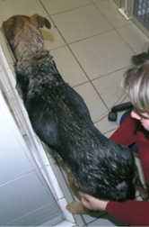 OLYMPUS DIGITAL CAMERA         