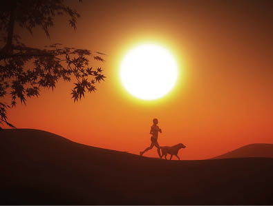 3D render of a female jogging with her dog at sunset