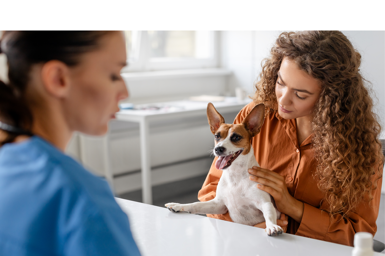 Owner in orange shirt comforts her happy dog during a conversation with a focused veterinarian at a white table in a veterinary clinic
