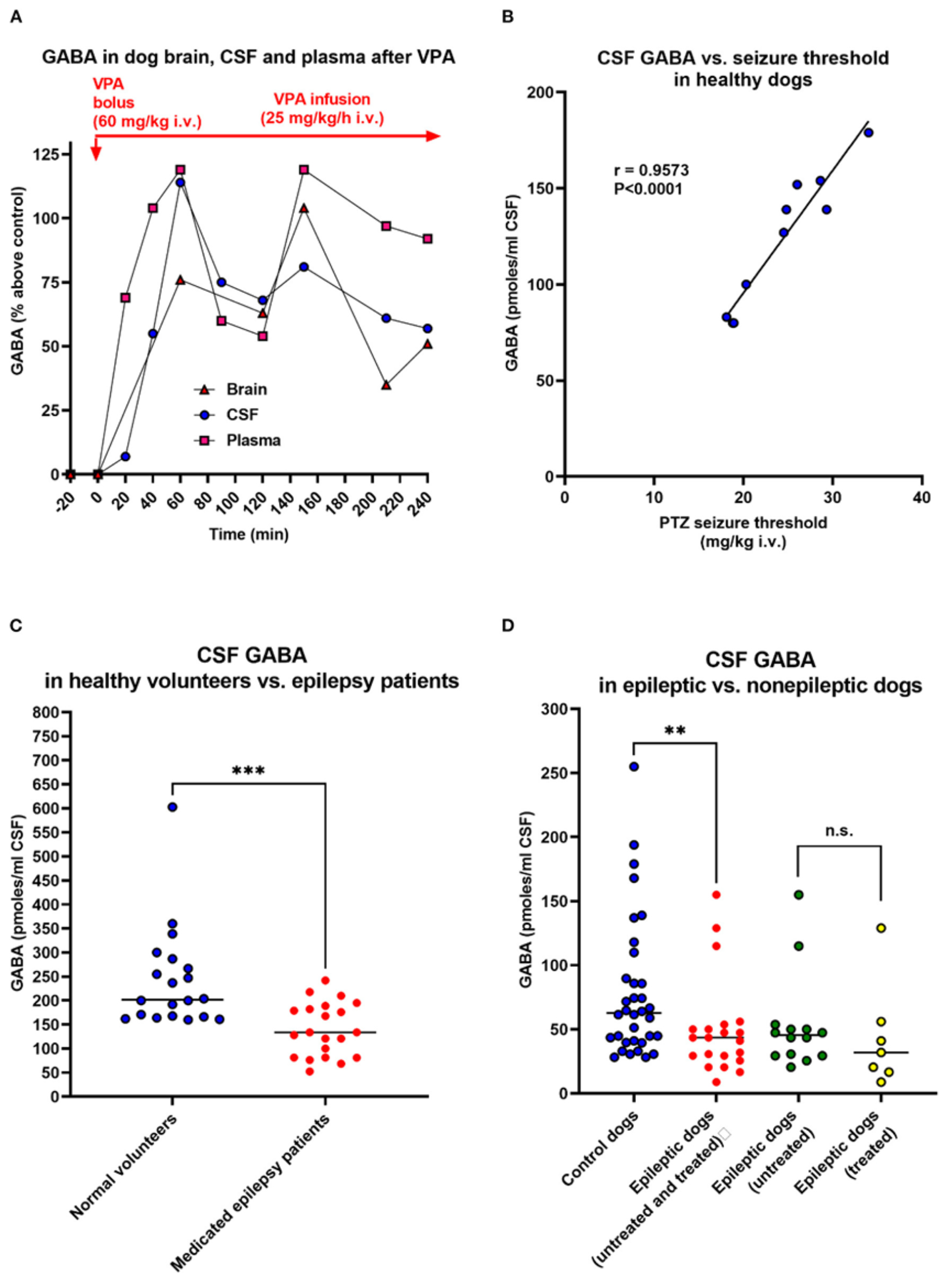 Epilepsy is a common neurological disease in both humans and domestic dogs, making dogs an ideal translational model of epilepsy.