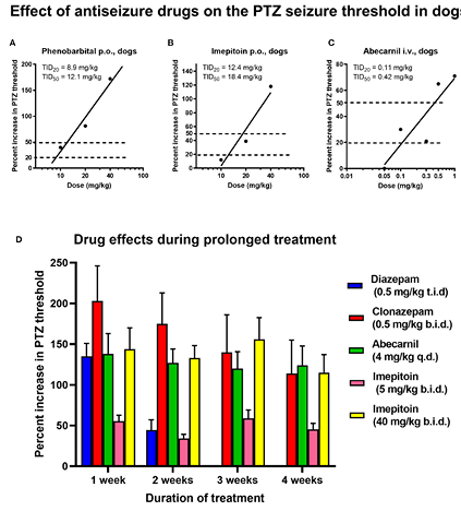 Epilepsy is a common neurological disease in both humans and domestic dogs, making dogs an ideal translational model of epilepsy.