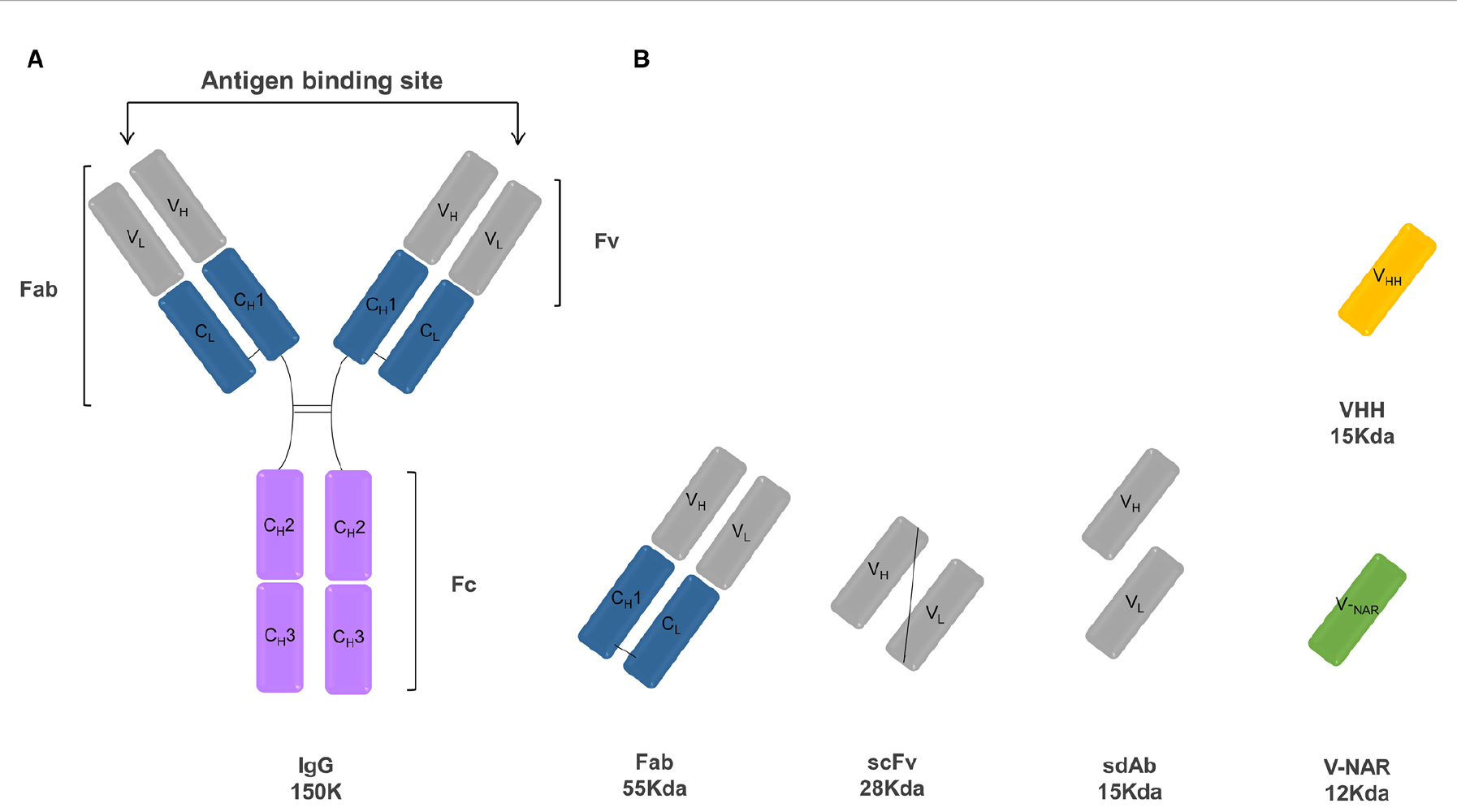 The new era of immune-oncology has brought complexities and challenges that emphasize the need to identify new strategies and models to develop successful and cost-effective therapies.